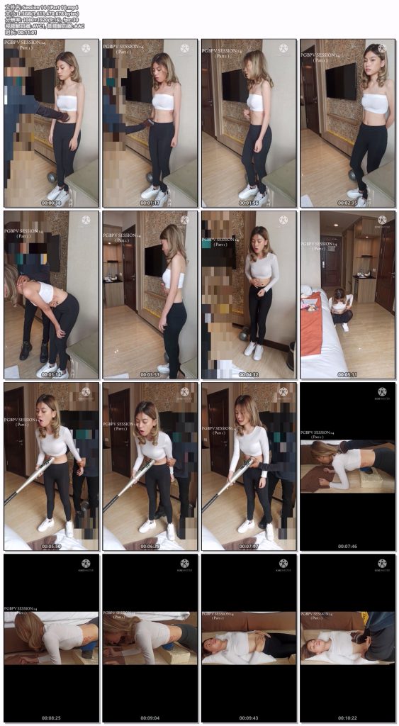 session系列合集打包（可单部qq发图询价）