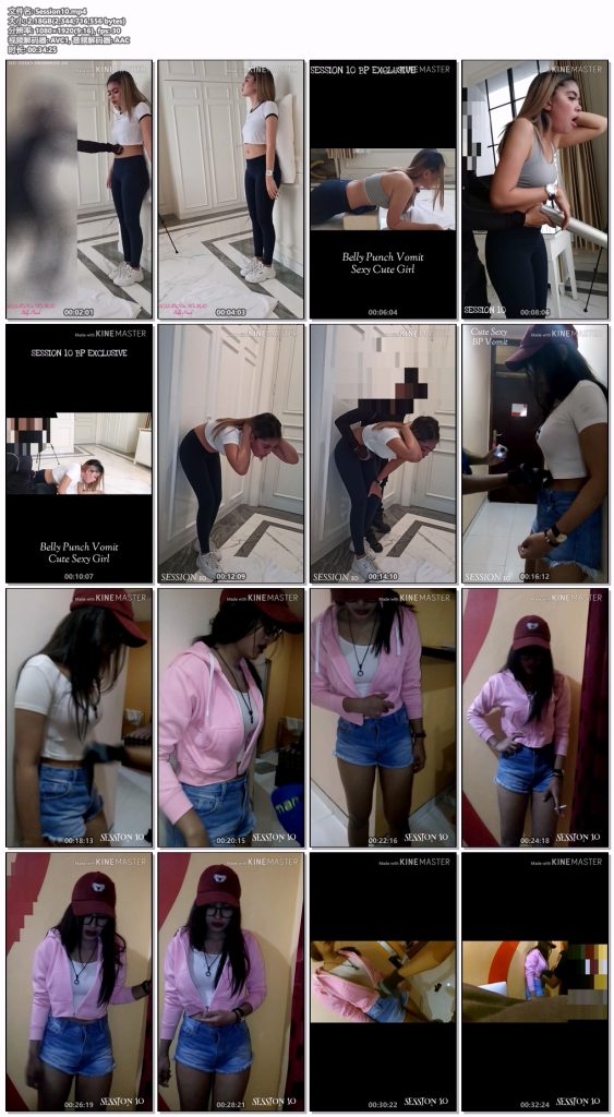 session系列合集打包（可单部qq发图询价）