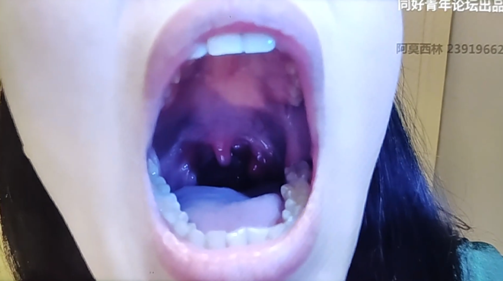 元辰劫-寅虎危机