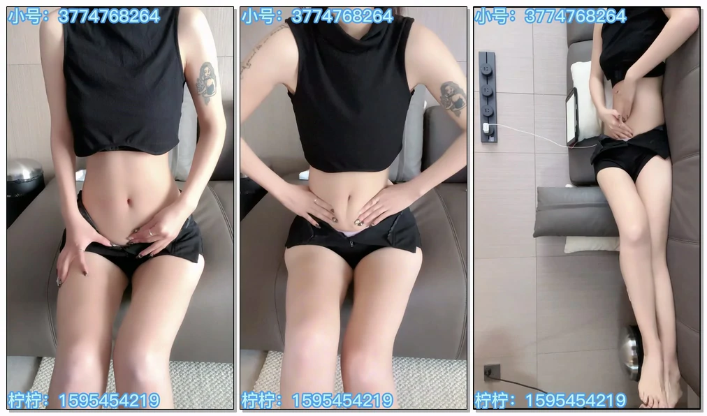 【柠柠定制】入腹青狮